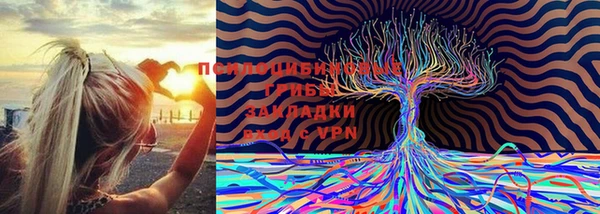 кокаин колумбия Алексин
